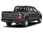 2021 Ford F-150 Tremor